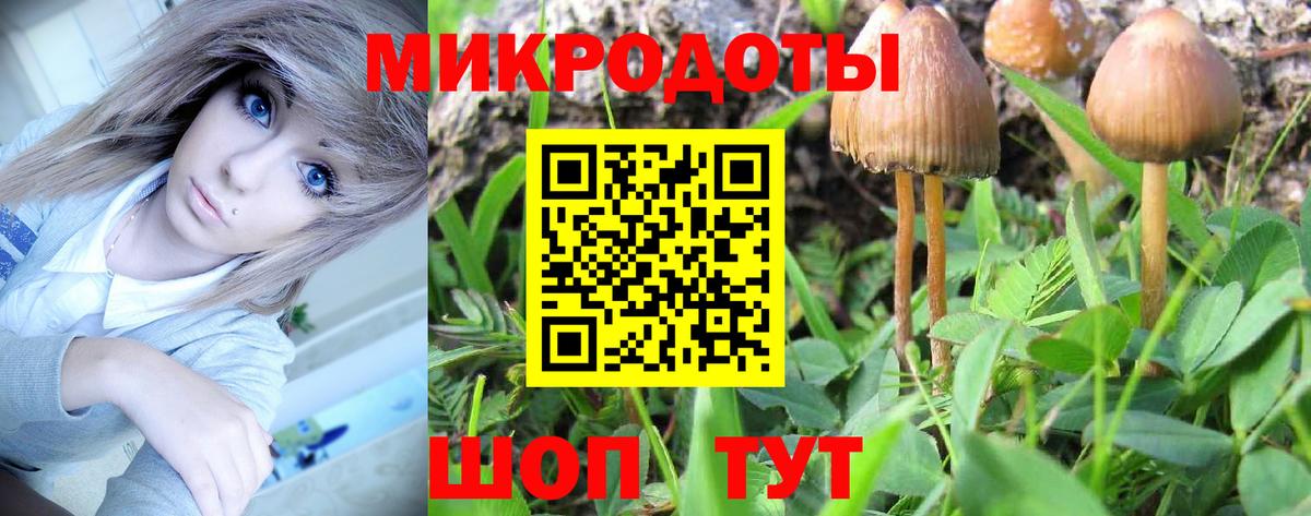 Среднеуральск  Галлюциногенные грибы мицелий  Вход с VPN  Псилоцибиновые грибы ЛСД 
