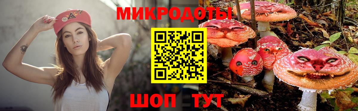 Галлюциногенные грибы Cubensis Среднеуральск